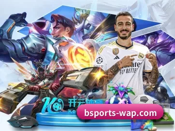 B体育 APP 界面